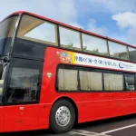 Churashima open top bus tour or Starry sky tour (Naha Departure)