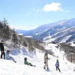 Hakuba Ski Resort – Narita Airport – Haneda Airport – Tokyo Shuttle Bus