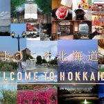 Hokkaido Chartered One Day Car Tour (English Speaking Driver)