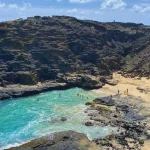 Oahu Island and North Shore Half Day Trip