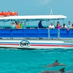 Dolphin Watching and Snorkeling Experience in Key West