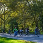 Complete Manhattan 5h Walking Tour & Cycle Central Park