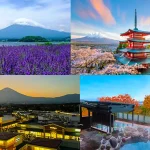 [Fuji Flower Viewing + Shopping or Hot Spring Tour] Arakurayama Park & Hikawa Watch Shop & Kawaguchiko Yagizaki Park or Kawaguchiko Oishi Park & Outlet or Hot Spring Bathing at the Foot of Mt. Fuji Day Tour