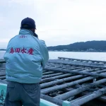 Learn About Oyster Harvesting with Fishermen in Hiroshima