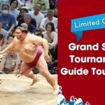 1-Day Sumo Tournament Guide Tour in Fukuoka