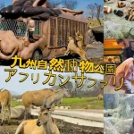 Oita｜Kyushu Zoo, Yufudake, and Yufuin Day Tour｜Depart from Fukuoka