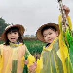 Yilan: Farmer Green Onion Experience Farm – Three Star Green Onion Experience Half-Day Tour