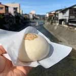 Takayama Special Food and Sake Factory Tour