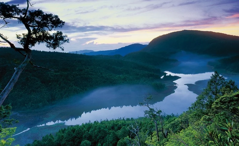 [2024 Huadong Revitalization] National Forest Recreation Area Package (Taipingshan, Chinan, Fuyuan, Zhiben)