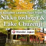 1-Day Autumn Leaves Tour from Tokyo Nikko Toshogu & Lake Chuzenji