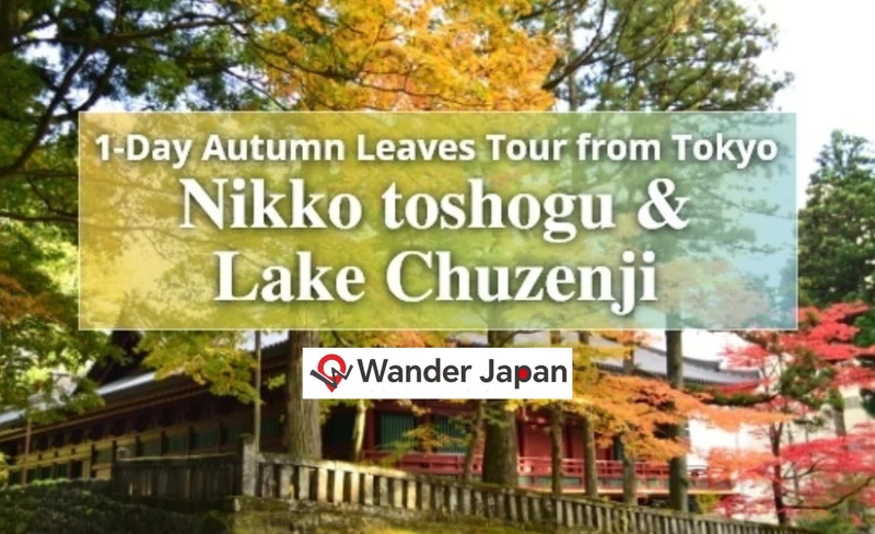 1-Day Autumn Leaves Tour from Tokyo Nikko Toshogu & Lake Chuzenji