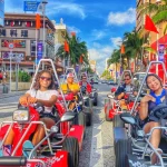 Okinawa Go Kart Experience