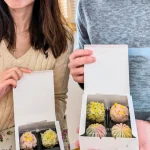 Sapporo Wagashi Sweets Making