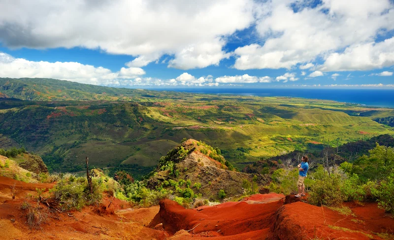 Kauai Waimea Canyon & Koke’e Adventure