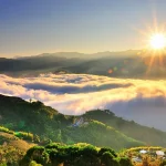 Chiayi Alishan & Nantou Sun Moon Lake 3-day tour (departing from Taipei, including cultural experience and some tickets)