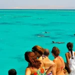 Key West: Dolphin Watching, Snorkeling, and Sunset Cruise