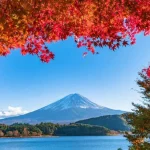 Mount Fuji One-day Tour by Chartered Car