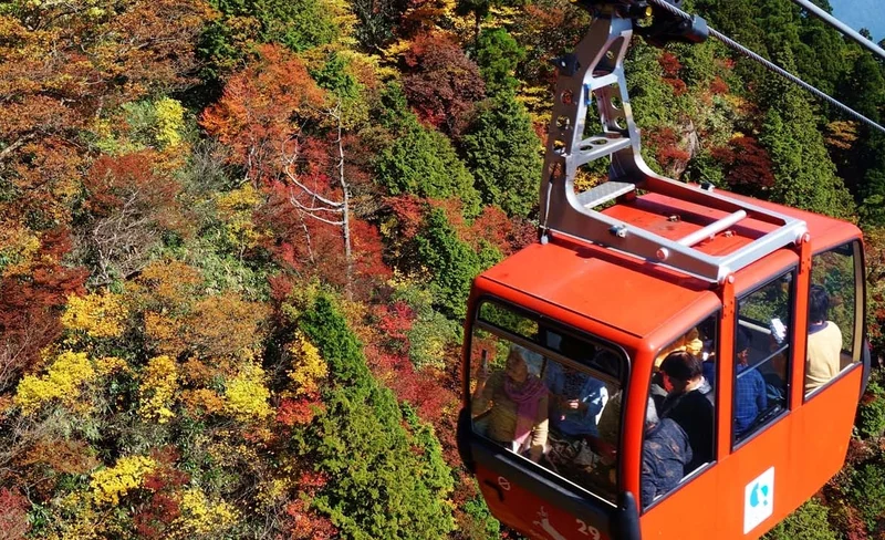 Gozaisho Ropeway and Nabana no Sato Day Trip from Kyoto