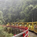 Taipingshan National Forest Recreation Area Day Tour in Yilan