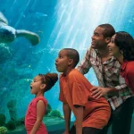 SeaWorld San Diego Tickets