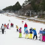 Play with Snow! Crab Buffet Lunch and Strawberry Picking Bus Tour