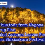 1-Day Korankei Autumn Leaves Tour from Nagoya Light-up Plan