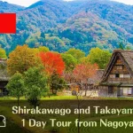 World Heritage Shirakawago and Takayama Private Tour from Nagoya