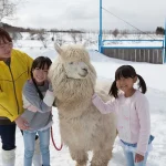 Boka no Sato Snow Park & Onsen Day Tour from Nagoya