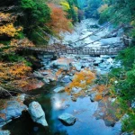 Chartered one-day tour from Tokushima: Otsuka International Museum of Art/Naruto Whirlpool/Iya Kuzufuji Bridge (you can freely match the itinerary)