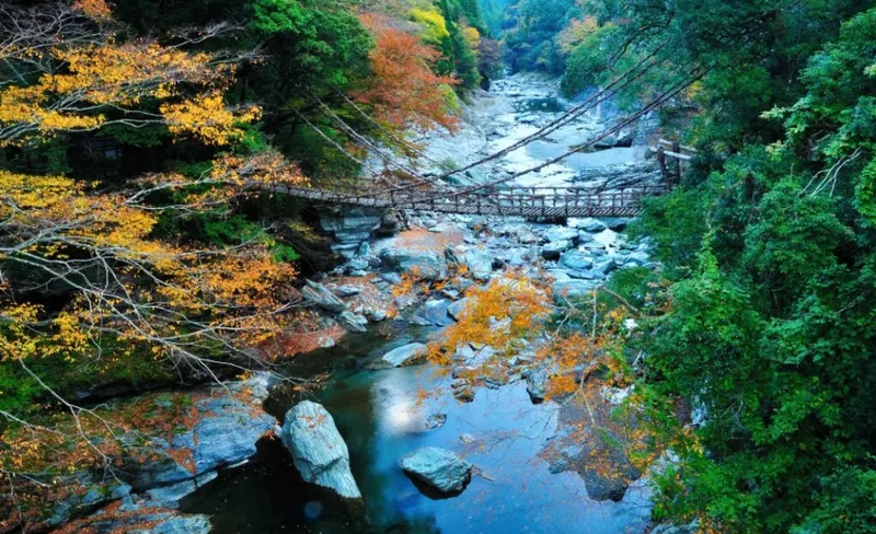 Chartered one-day tour from Tokushima: Otsuka International Museum of Art/Naruto Whirlpool/Iya Kuzufuji Bridge (you can freely match the itinerary)