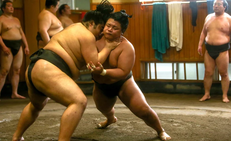 Sumo Practice Watch with a Specialist Reporter