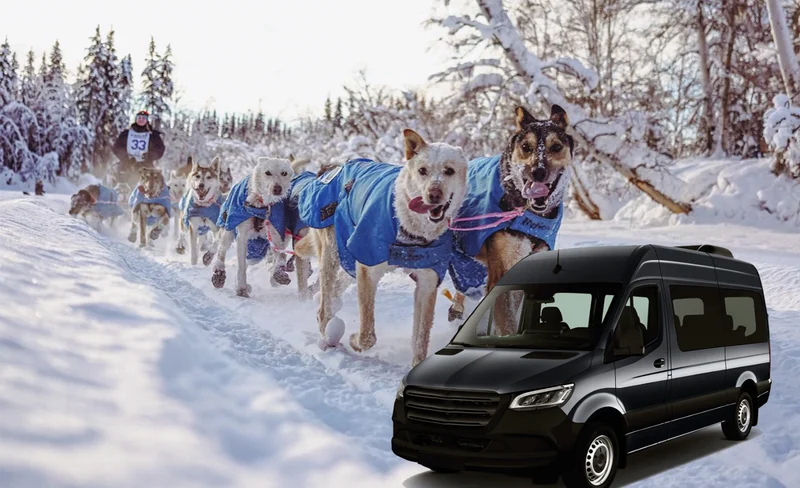 Fairbanks, Alaska Dog Sledding Day Tour