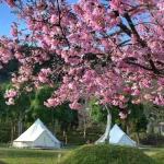 Fall in Love with Xiong Glamping in Hsinchu