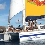 Kailua-Kona Sunset Cocktail with Free Drinks – Honi Olani Catamaran