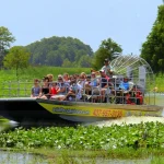 Wild Florida Airboat Ride in Orlando