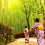 Walking Tour of Western Kyoto : Arashiyama, Kinkakuji and Koboshi