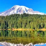 Mount Rainier National Park Day Tour from Seattle