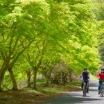 Tokyo Metropolis, Okutama Historical Road Half Day Cycling Tour