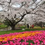 Hamamatsu Flower Park and Hamana Lake 1day private with Local Bus