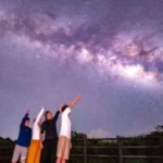 Iriomote Island Starry Sky & Jungle Night Tour (Okinawa)