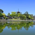 1-Day Walking Tour in Nara: Palace, Deer and Inkstick