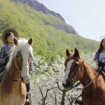 Sapporo Horseback riding experience!