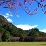 Aowanda National Forest Recreation Area Ticket in Nantou