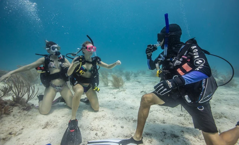 Dive into Adventure: Open Water Diver in Key Biscayne with PADI Cent