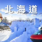 Chitose and Lake Shikotsu Ice Festival One Day Tour from Sapporo