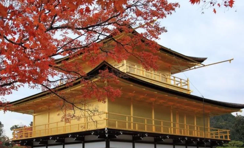 Kiyomizudera, Ginkakuji, and Kinkakuji Temple Half Day Tour