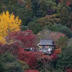 Explore Kyoto Arashiyama Bamboo Forest with Authentic Zen Experience