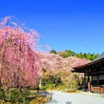 PERFECT KYOTO 1Day Bus Tour