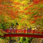 [Autumn Maple] Hakone & Mishima Skywalk & Shuzenji Tour （from Tokyo）