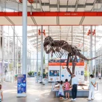 California Academy of Sciences Admission Ticket